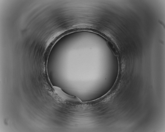X0000099420973200805231625