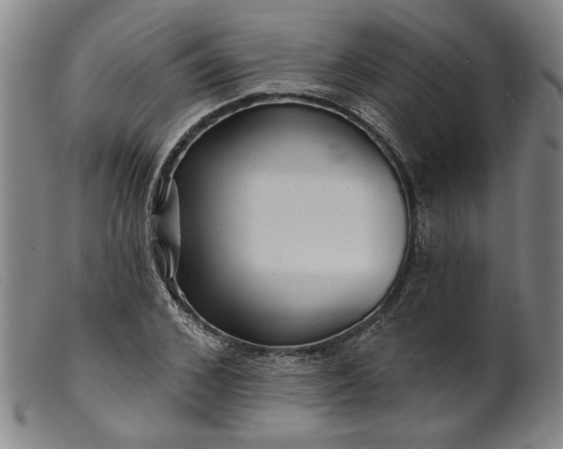 X0000099420976200805231625