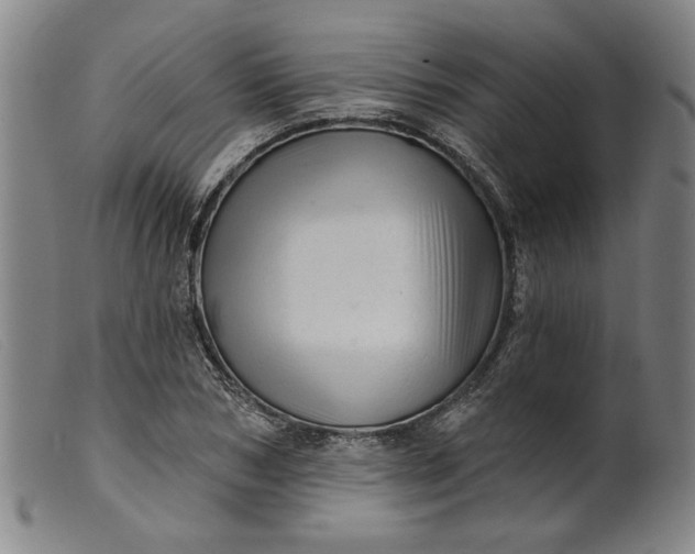 X0000099420978200805231625