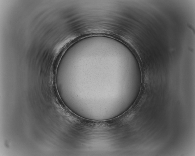 X0000099420979200805231625