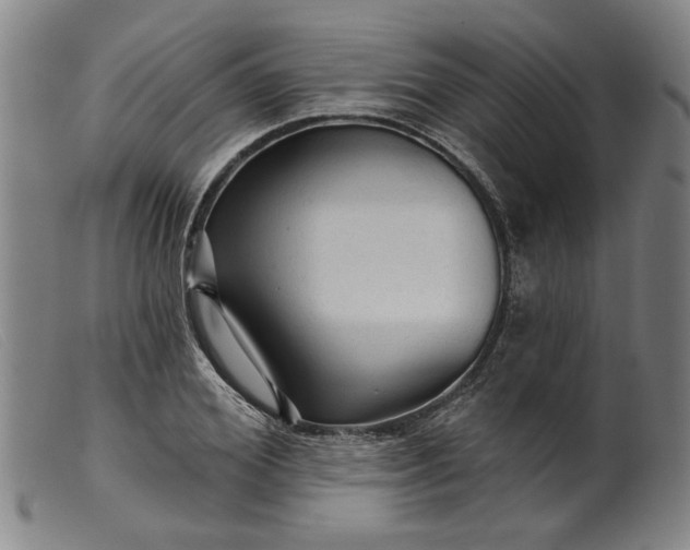X0000099420980200805231625