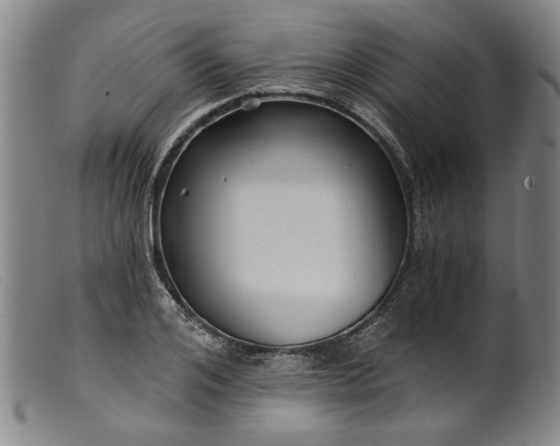 X0000099420984200805231625
