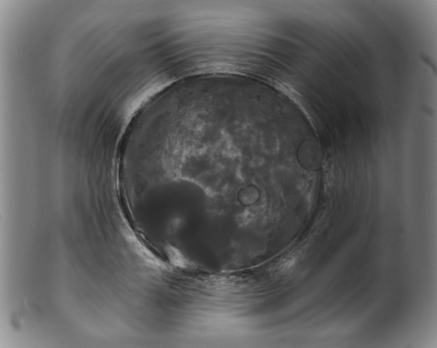 X0000099420987200805231625