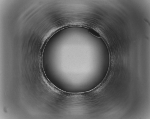 X0000099420989200805231625