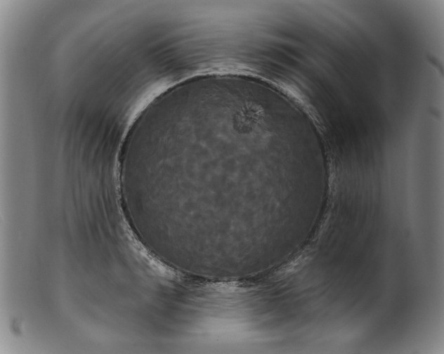 X0000099420990200805231625