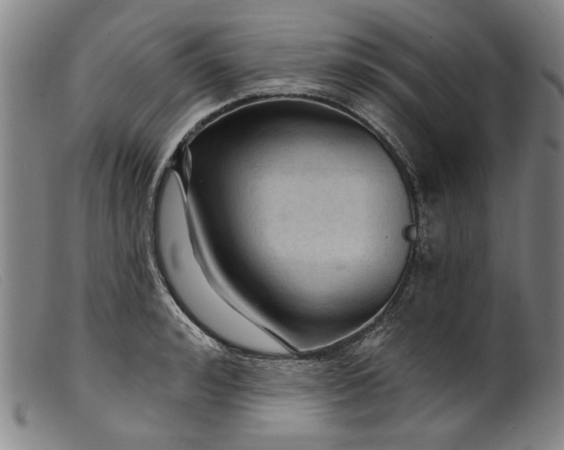 X0000099420992200805231625