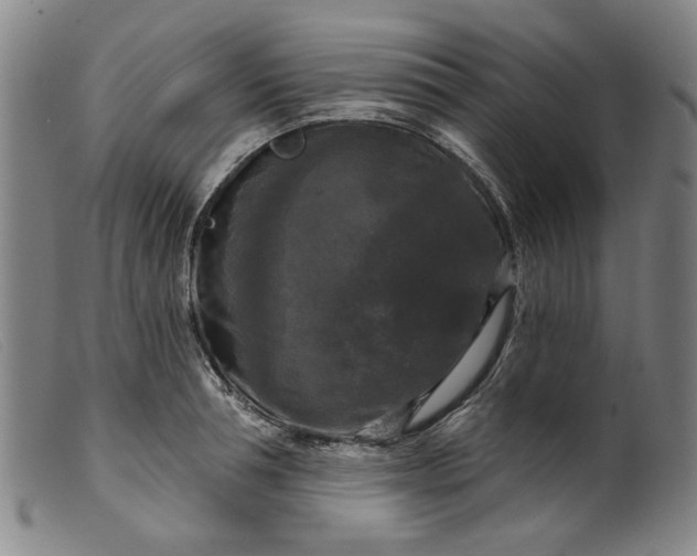 X0000099420994200805231625