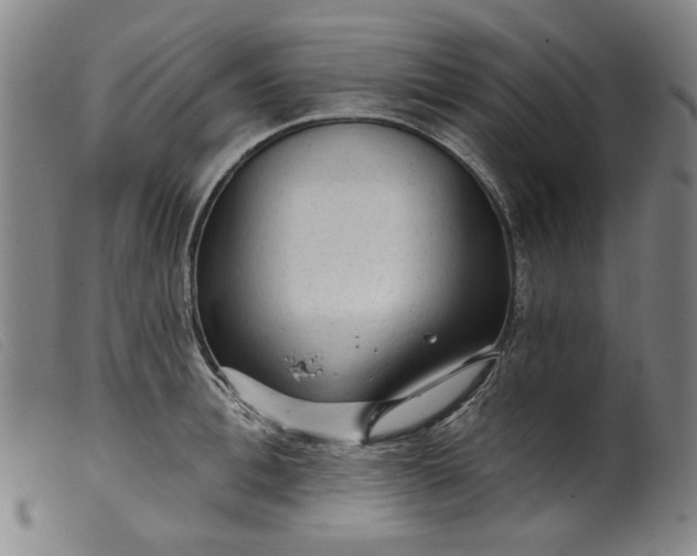 X0000099420996200805231625