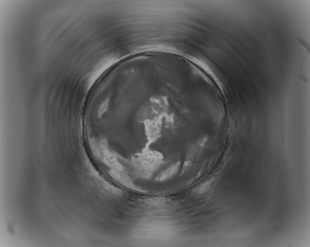 X0000099420999200805231625