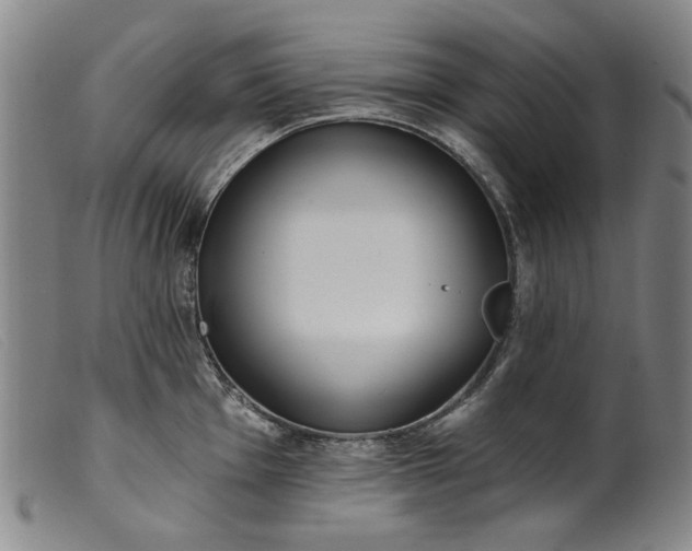 X0000099421001200805231625