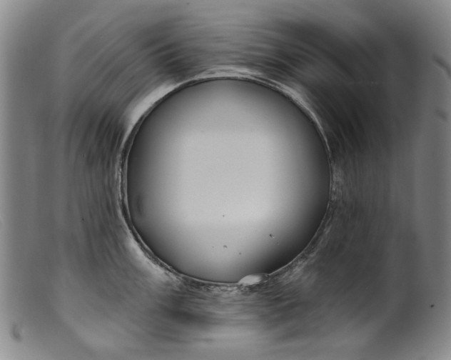 X0000099421003200805231624