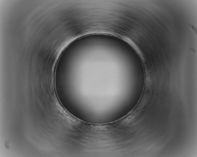 X0000099421004200805231624