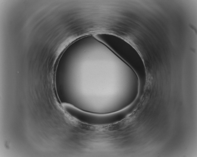 X0000099421005200805231624