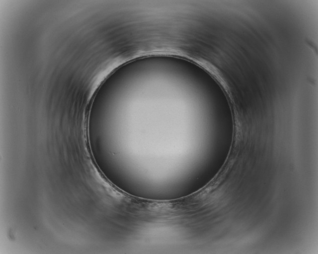 X0000099421006200805231624