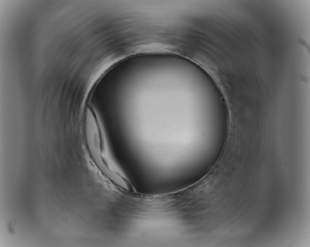 X0000099421008200805231624