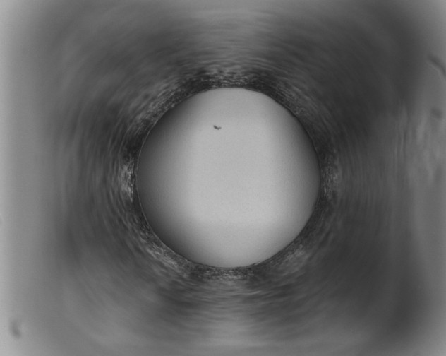 X0000099421010200805231624