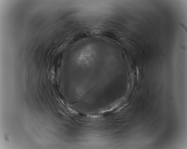 X0000099421011200805231624