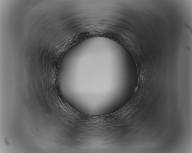 X0000099421012200805231624