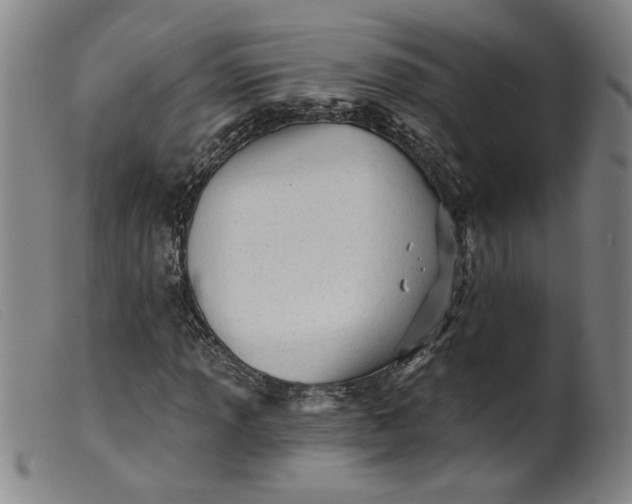 X0000099421013200805231624