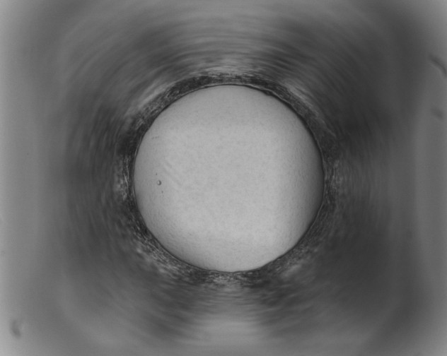 X0000099421015200805231624
