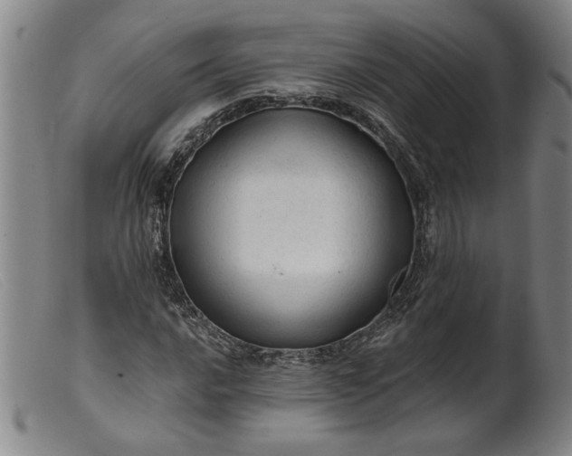 X0000099421016200805231624