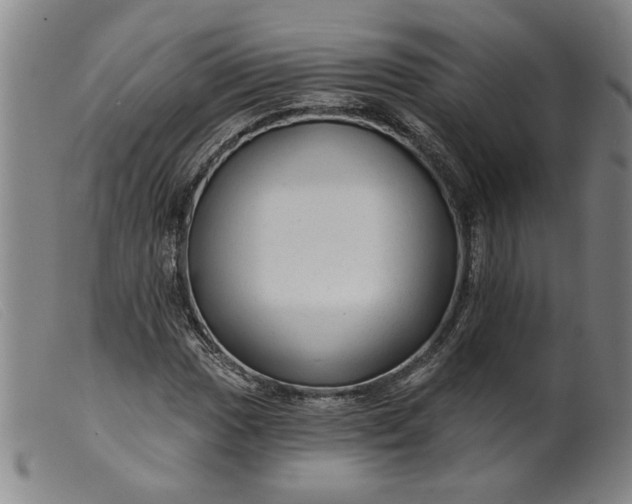 X0000099421017200805231624