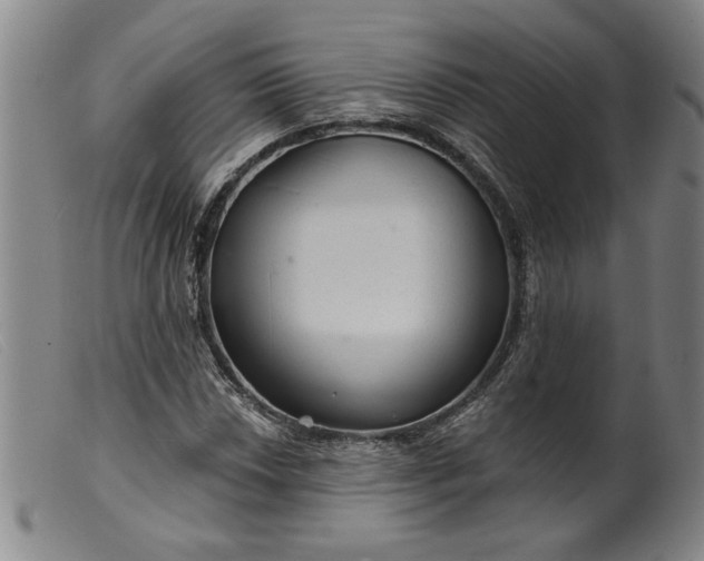 X0000099421018200805231624