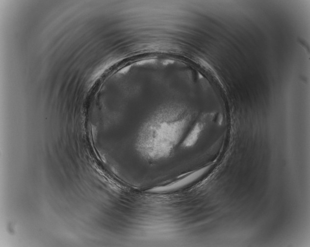 X0000099421019200805231624