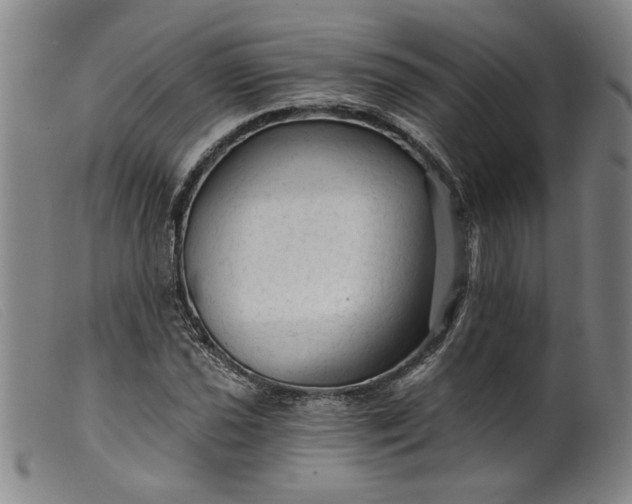 X0000099421021200805231624