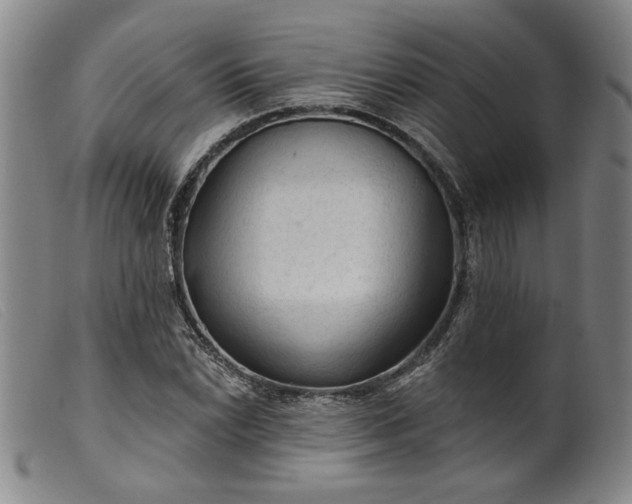 X0000099421022200805231624