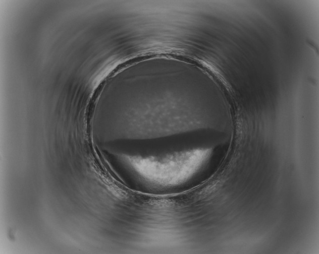 X0000099421023200805231624