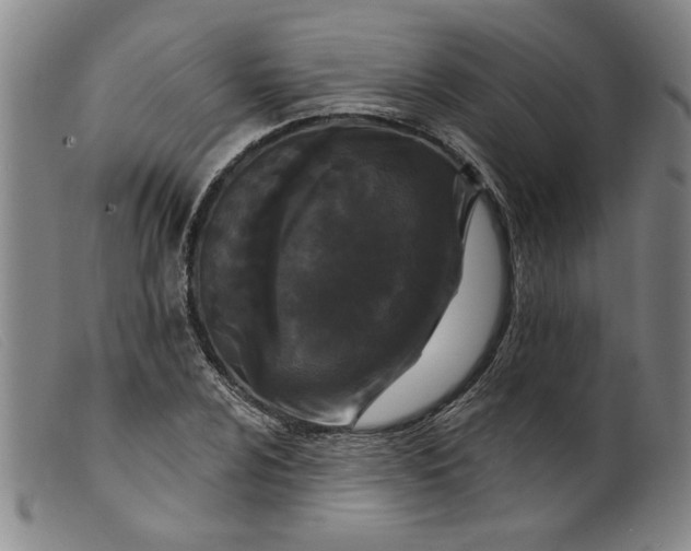X0000099421024200805231624