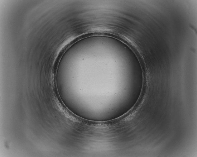 X0000099421029200805231624