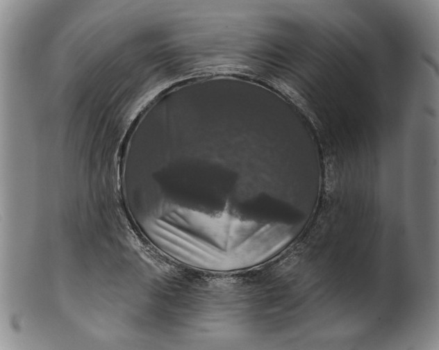 X0000099421031200805231624
