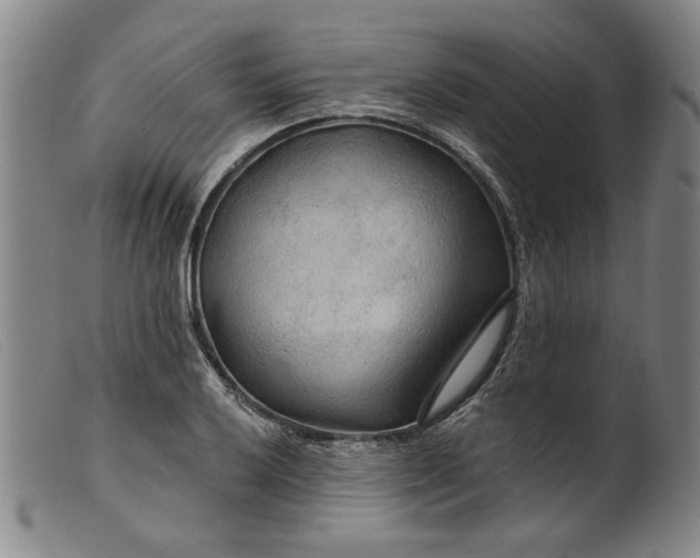 X0000099421032200805231624