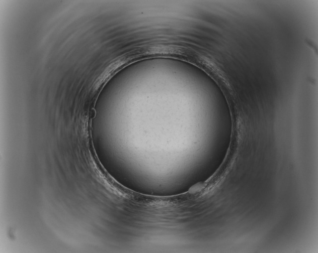 X0000099421033200805231624