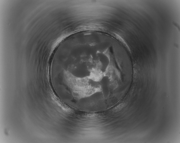 X0000099421035200805231624