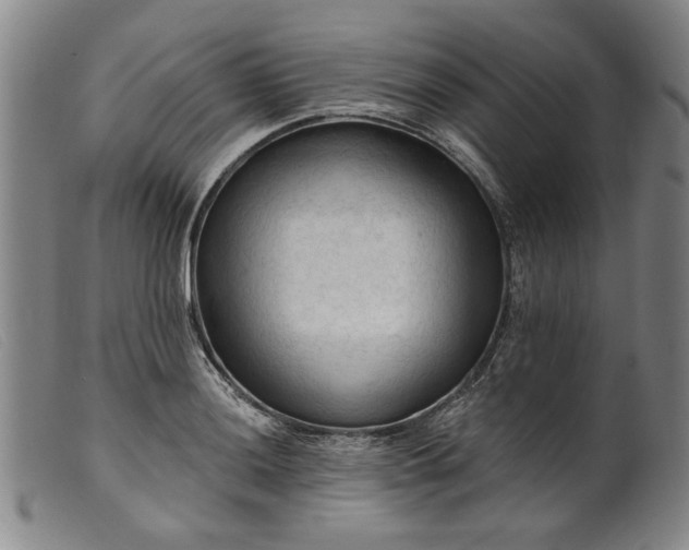 X0000099421036200805231624