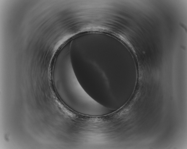 X0000099421037200805231624