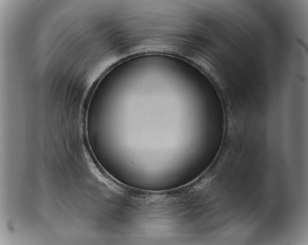 X0000099421038200805231624