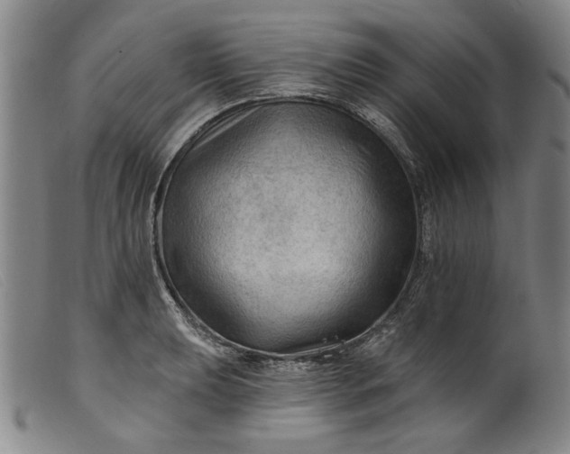X0000099421039200805231624