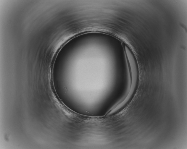 X0000099421040200805231624