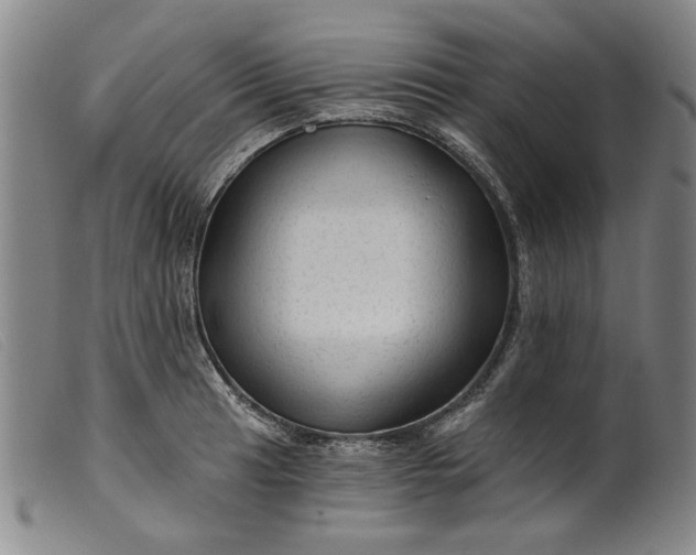 X0000099421041200805231624