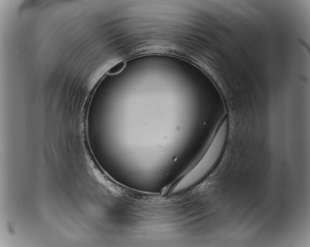 X0000099421042200805231624