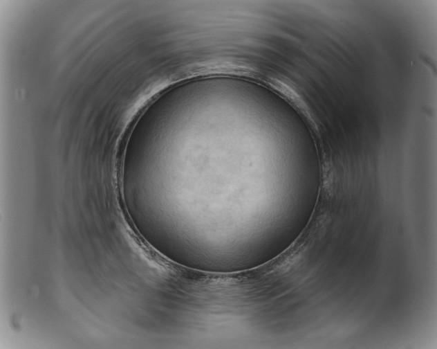 X0000099421043200805231624
