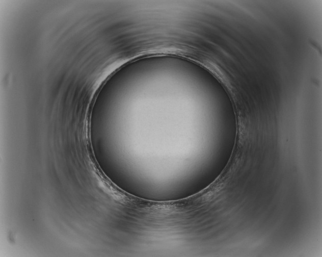 X0000099421044200805231624