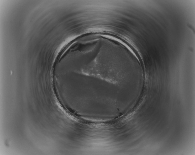 X0000099421045200805231624