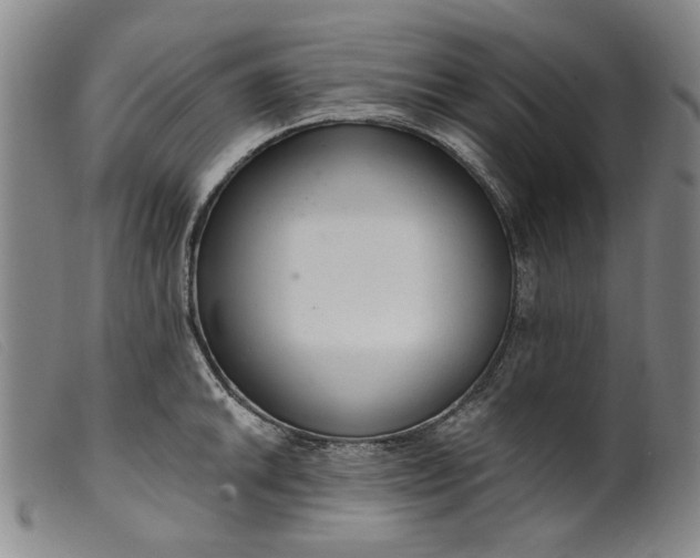 X0000099421046200805231624