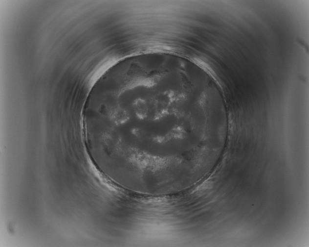 X0000099421047200805231624