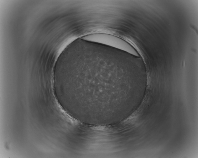 X0000099421048200805231624